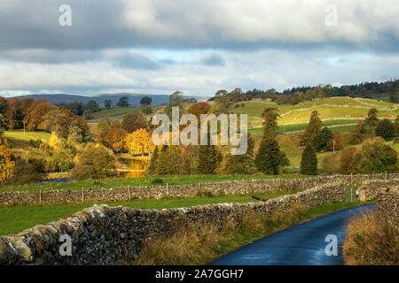 Paesaggio DEL REGNO UNITO: i colori autunnali nel Yorkshire Dales, Hebden, North Yorkshire Foto Stock