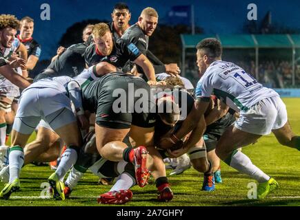 Londra, Regno Unito. 02Nov, 2019. Ben Earl dei Saraceni trova un varco e preme in avanti per cliente saraceni seconda metà provare nei minuti finali del gioco portando il punteggio da 13-13 durante la Premiership Gallagher partita di rugby tra Saraceni e London Irish presso il Parco di Allianz, Londra, Inghilterra. Foto di Phil Hutchinson. Credit: UK Sports Pics Ltd/Alamy Live News Foto Stock