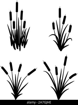 Set di vettore di typhaceae erbe palustri con foglie e fiori di spike. nero erba reed simboli isolati su sfondo bianco. canna di palude logo per botaniche Illustrazione Vettoriale