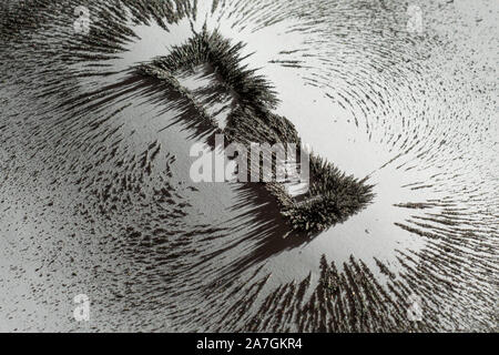 Polvere di ferro che mostra il campo magnetico in prossimità di un magnete bar su sfondo bianco Foto Stock