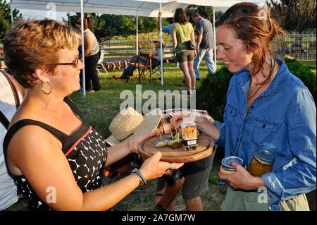 Vari tipi di alimenti, compresi gli elementi in scatola, liberamente scambiati in una comunità di swap alimentare tenutasi nel cortile di un partecipante di abitazione, Wisconsin, STATI UNITI D'AMERICA Foto Stock