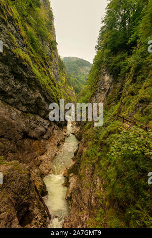 Lammerklamm Gorge nella regione Salzkammergut in Austria Superiore. Blu fiume alpino tra strette pareti rocciose ricoperti di vegetazione verde e alberi Foto Stock