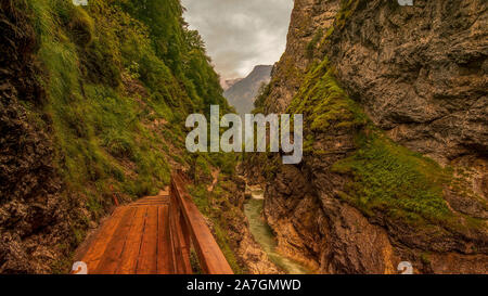 Lammerklamm Gorge nella regione Salzkammergut in Austria Superiore. Blu fiume alpino tra strette pareti rocciose ricoperti di vegetazione verde e alberi Foto Stock