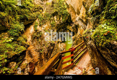 Lammerklamm Gorge nella regione Salzkammergut in Austria Superiore. Blu fiume alpino tra strette pareti rocciose ricoperti di vegetazione verde e alberi Foto Stock