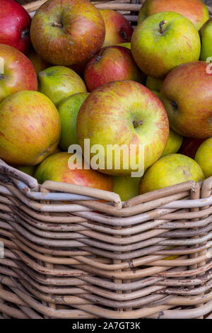 Il rosso e il verde rosy appena raccolto le mele in un cesto di vimini sul display in un mercato degli agricoltori. Foto Stock