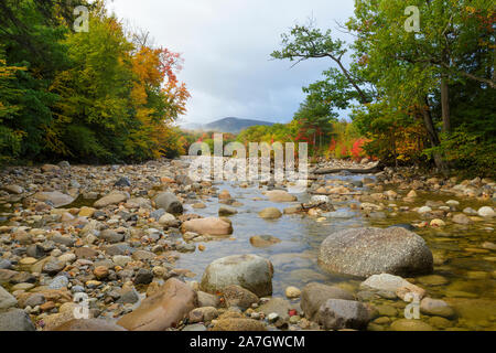 Guardando a valle in corrispondenza di fogliame di autunno lungo la rocciosa ramo orientale del fiume Pemigewasset, vicino al villaggio di Lincoln, a Lincoln, New Hampshire su una nuvola Foto Stock