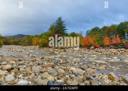 Guardando a valle in corrispondenza di fogliame di autunno lungo la rocciosa ramo orientale del fiume Pemigewasset, vicino al villaggio di Lincoln, a Lincoln, New Hampshire su una nuvola Foto Stock