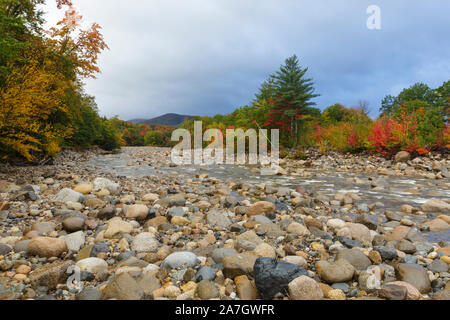 Guardando a valle in corrispondenza di fogliame di autunno lungo la rocciosa ramo orientale del fiume Pemigewasset, vicino al villaggio di Lincoln, a Lincoln, New Hampshire su una nuvola Foto Stock