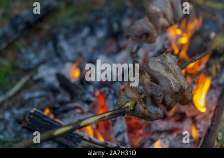 La carne di maiale su un piolo di legno è la frittura su un falò su carboni ardenti Foto Stock