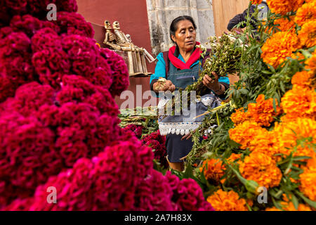 Un'anziana donna messicana vende fiori utilizzati per onorare gravesides per il Giorno dei Morti festival noto in spagnolo come Día de Muertos Ottobre 31, 2013 a Oaxaca, Messico. Le calendule messicano sono state utilizzate in cerimonie poiché l'Aztec volte ed è noto al fiore di morti in Messico e la cresta di gallo rosso fiore è un simbolo del sangue di Cristo. Foto Stock