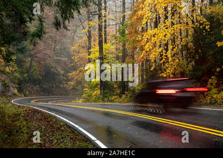 Motion Blur di guida auto giù strada tortuosa in autunno - Pisgah National Forest - nei pressi di Brevard, North Carolina, Stati Uniti Foto Stock