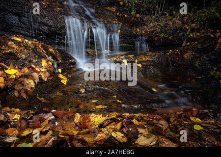 Una piccola cascata off Avery Creek Trail in autunno (illuminata di notte) - Pisgah National Forest, Brevard, North Carolina, STATI UNITI D'AMERICA Foto Stock