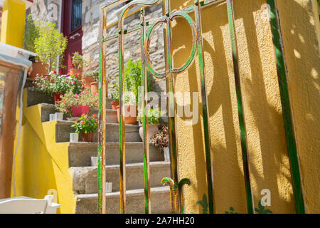 Passi nel piccolo ingresso al cortile dietro il giallo e il verde cancellata in ferro battuto. Foto Stock