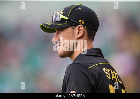 Sydney, Australia. 03 Nov, 2019. Starc Mitchell di Australia durante il Gillette T20 Serie Internazionale match tra Australia e il Pakistan a Sydney Cricket Ground, Sydney, Australia. Foto di Peter Dovgan. Credit: UK Sports Pics Ltd/Alamy Live News Foto Stock