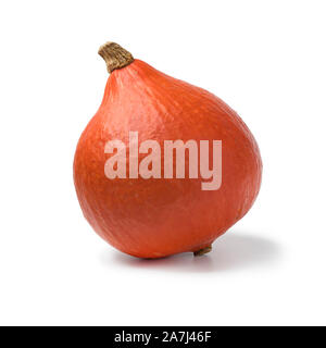 Singola arancia fresca zucca Hokkaido isolati su sfondo bianco Foto Stock