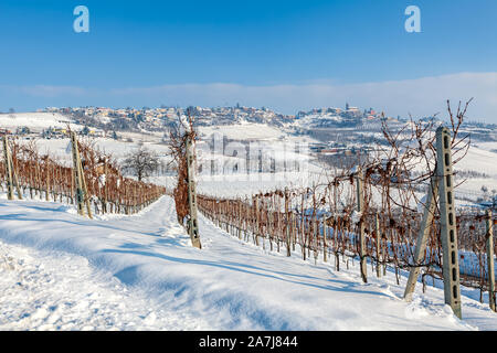 Filari di vigneti sulla collina ricoperta di neve sotto il cielo blu in Piemonte, Italia settentrionale. Foto Stock