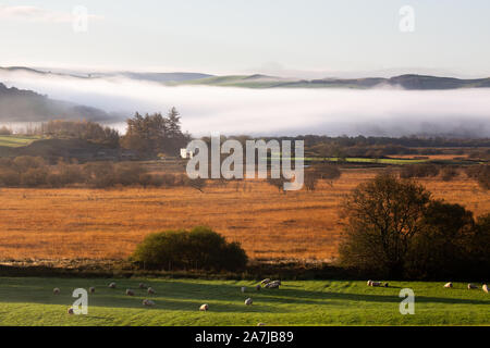 Ystrad Meurig, Ceredigion, Wales, Regno Unito. 03 novembre 2019 UK Meteo: un brillante inizio di giornata in Ystrad Meurig come la nebbia sale sopra il bog terra ai piedi del Cambriano montagne vicino Tregaron. Credito: Ian Jones/Alamy Live News Foto Stock