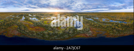 Sunrise nel paesaggio della torbiera. Misty marsh, laghi natura sfondo ambiente Foto Stock