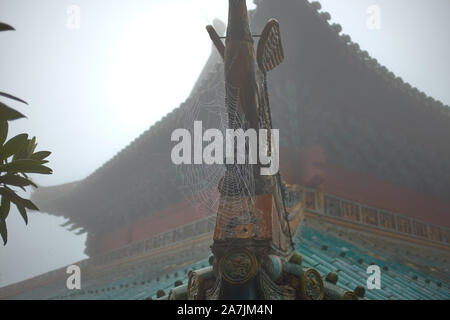 Bella architettura tetto tempio cinese in wudang Cina Foto Stock