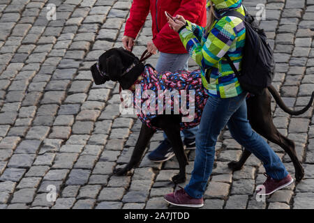 La gente a piedi con un cane su una strada in un freddo giorno Foto Stock