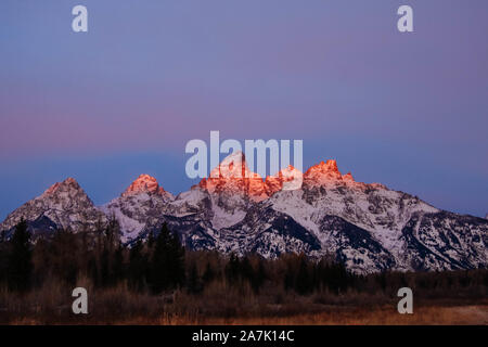 Neve fresca che ricopre il Teton Mountain Range durante il tramonto dalla Schwabachers in atterraggio a Grand Teton National Park in alci, Wyoming. Foto Stock
