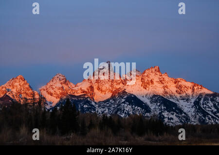 Neve fresca che ricopre il Teton Mountain Range durante il tramonto dalla Schwabachers in atterraggio a Grand Teton National Park in alci, Wyoming. Foto Stock