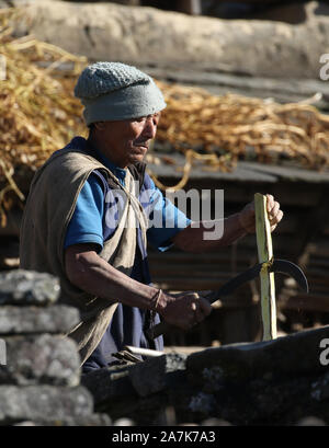 Un uomo Gurung indossando abiti tradizionali braciole di un pezzo di legno con un utensile tradizionale. Sikles, Himalaya, Nepal. Foto Stock