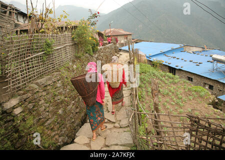 Gurung le donne che trasportano tradizionali ceste, Sikles, Himalaya, Nepal Foto Stock