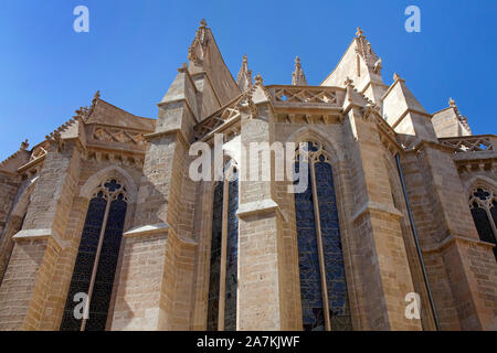 Kathedrale La Seu in Palma, Palma de Mallorca, Mallorca, Balearen, Spanien | La Cattedrale La Seu, punto di riferimento di Palma, Palma de Mallorca, Mallorca, Bal Foto Stock