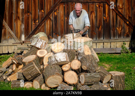 Uomo che utilizza un chainsaw nella parte anteriore del granaio per tagliare dei registri per il carburante in preparazione per la prossima stagione invernale Zala county Ungheria Foto Stock