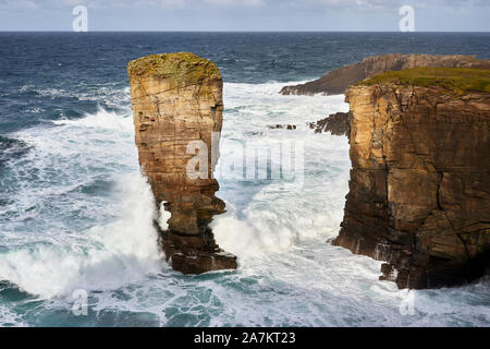 Yesnaby Castello a mare della pila, Yesnaby, Continentale, Orkney, Scozia Foto Stock