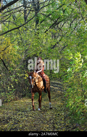 Bel paese ragazza bareback cavalcare il suo cavallo in autunno country road al tramonto Foto Stock