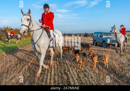 Cranwell, Lincoln, Lincolnshire, Regno Unito. Il 3 novembre 2017. Su Saint Hubert il giorno del santo patrono del cacciatori, caccia e cani, il Cranwell segugi incontro di apertura della stagione ha attirato un forte sostegno e seguaci come cacciavano 'l'avvio pulito' significa che essi cacciano il profumo naturale dell uomo che è dedicato a cross-country runner. Formato in 1992 il Cranwell segugi sono uno dei più nuovi pack di hounds nel paese. Credito: Matt arto OBE/Alamy Live News Foto Stock