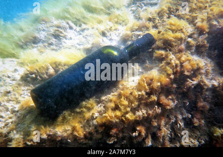 Sigillato bottiglia di vino sotto l'acqua. Mar Caspio. Foto Stock