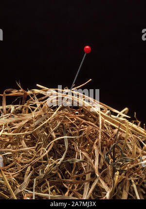 Guardando per la perdita di ago nel pagliaio. La ricerca. Oggetti smarriti Foto Stock