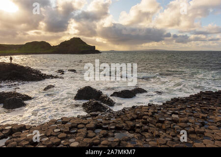 Giant's Causeway pomeriggio vista, Irlanda del Nord, Regno Unito Foto Stock