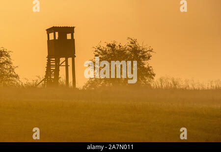 La torre della caccia durante il tramonto su una bella mattinata nebbiosa. Foto Stock