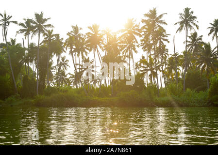 Bel tramonto dietro le lagune in Kerala Foto Stock