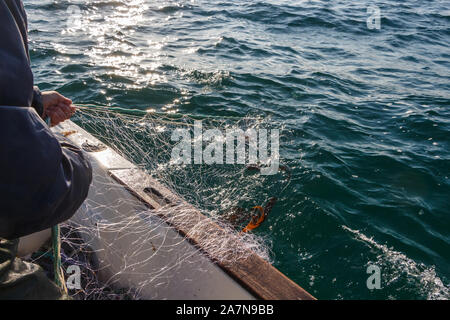 Fisherman riportando net in una barca in Bretagna Foto Stock