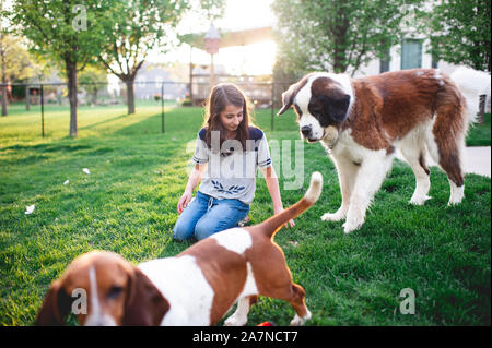 Tween ragazza siede in erba giocare con 2 cani nel cortile di casa Foto Stock