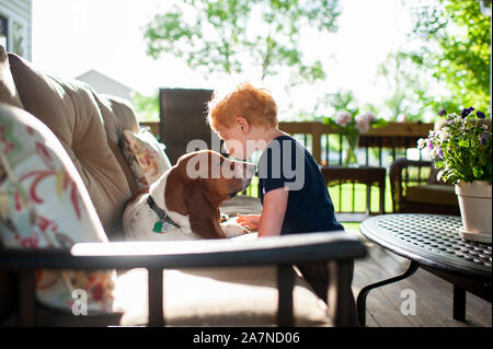 Il Toddler boy baciare il suo basset hound dog sul ponte in primavera Foto Stock