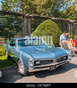 1967 Pontiac GTO in mostra presso il Classic Car Show in giardini italiani il Parco Stanley Blackpool Lancashire England Regno Unito. Circa 250 veicoli in mostra Foto Stock