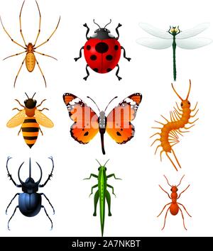 9 insetti colorati icone, con coccinella, api, Dragonfly, Ant Centipede, Butterfly, Spider, Grasshopper e Longhorn Beetle illustrazione vettoriale. Illustrazione Vettoriale
