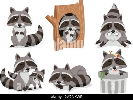 Procione procioni Set, con piedi raccoon, raccoon all'interno albero, arrabbiato raccoon, famiglia Procione, dormendo raccoon e raccoon all'interno del cestino. Vettore Illustrazione Vettoriale