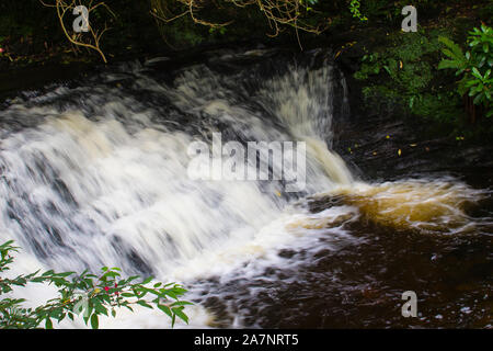 Il 23 agosto 2019. Il piccolo scorrimento veloce fiume alla cascata di Glencar sito nella Contea di Sligo Irlanda. The Glen è un luogo preferito per le passeggiate in campagna. Foto Stock