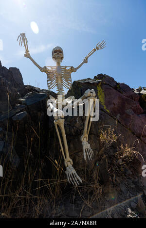 Retroilluminato con telai a scheletro creepily sulle rocce nel deserto Foto Stock