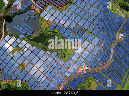Array di pannelli solari sono installati presso le terre incolte su una collina nel villaggio Huangsha, Zhuangkou town, Huichang county, Ganzhou città, Oriente Cina Foto Stock