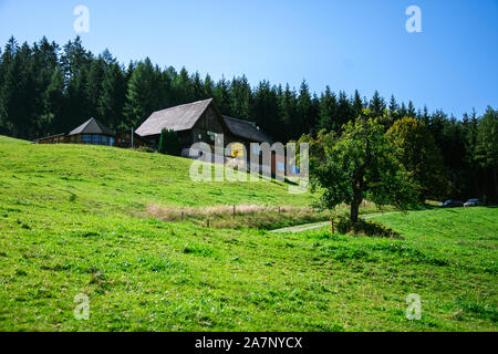 Vienna/Austria/ Settembre 15, 2019: bellissimo paesaggio verde foresta e nella natura pura Foto Stock