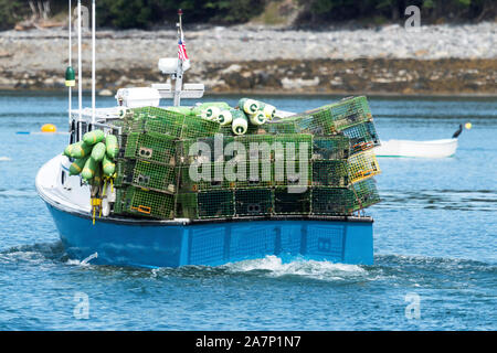 Un astice blu barca piena di green lobster trappole voce fuori di Bar Harbor nel Maine per impostare le trappole. Foto Stock