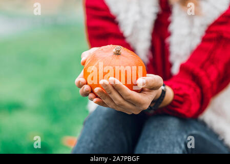 Le mani delle donne in rosso un maglione pesante sono holding small arancione zucca. Foto Stock